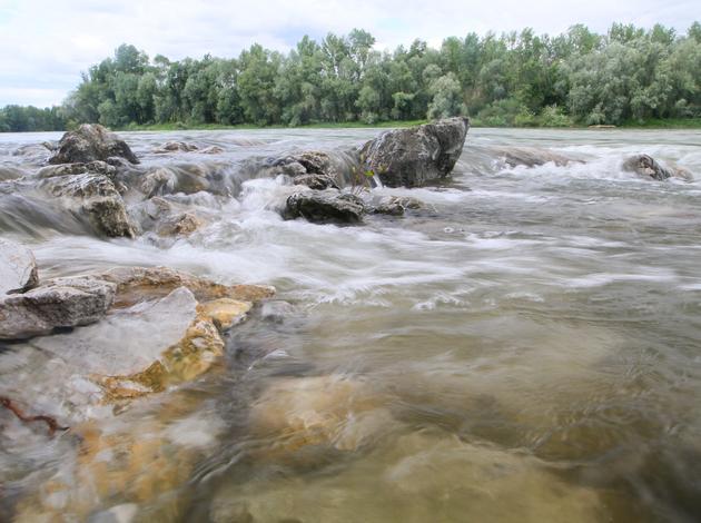 Drava