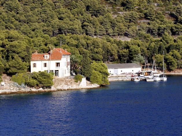 Češka vila, Vis