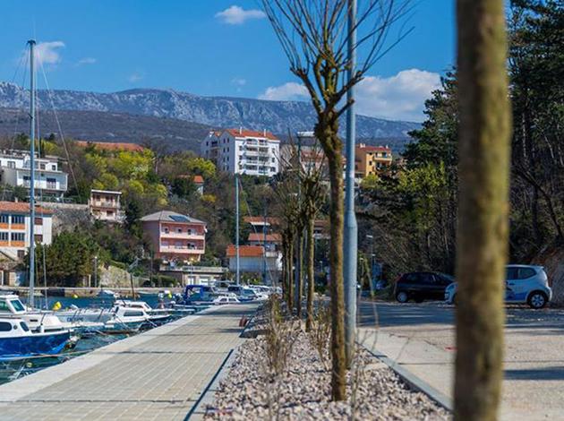 Drvored ljubavi u Crikvenici