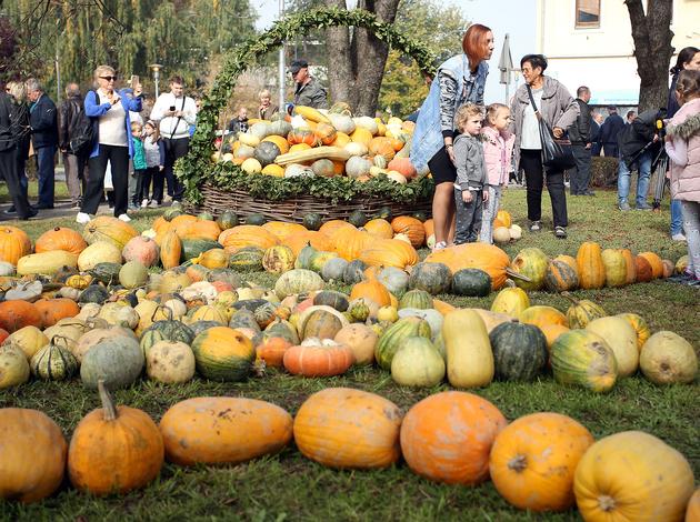 Bučijada, Ivanić-Grad