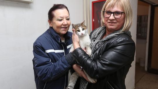 Odbačeni mačak Micek ujedinio sve stanare karlovačke sedmerokatnice