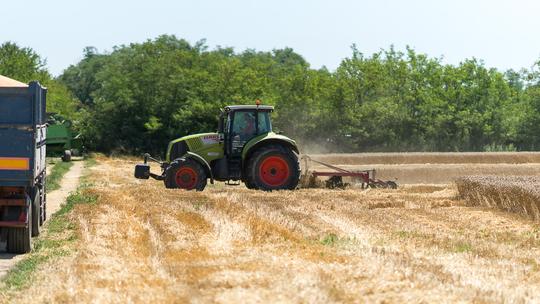 Žetva pšenice u Osječko-baranjskoj županiji
