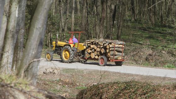U Bosanskoj Posavini pljačkaju šume Hrvata, a šumarija na godišnjem
