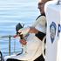 Stigla pomoć ozlijeđenom labudu Ryanu, i turisti pratili akciju spašavanja na rivi