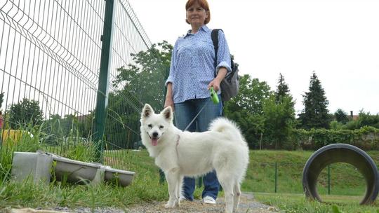 Prvi park za pse u Bjelovaru