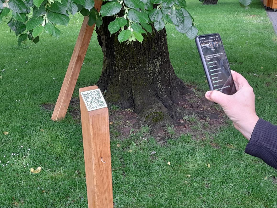 Mladi biolozi napravili QR kodove za drveće u parku