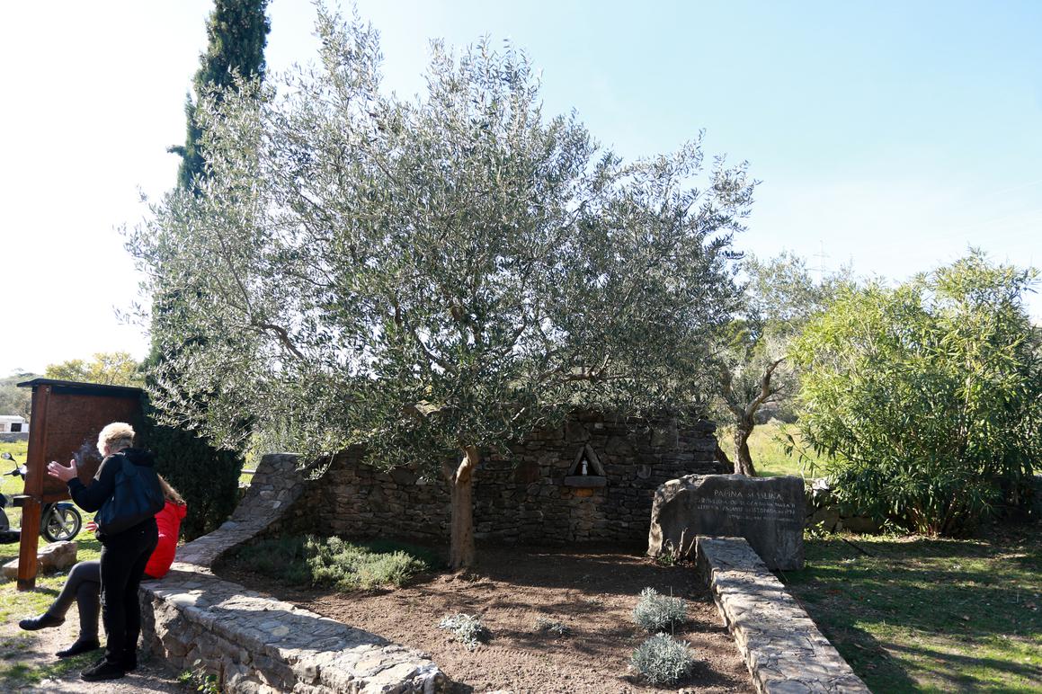 Biblijski vrt pod naletom turističke izgradnje izložen devastaciji i propadanju