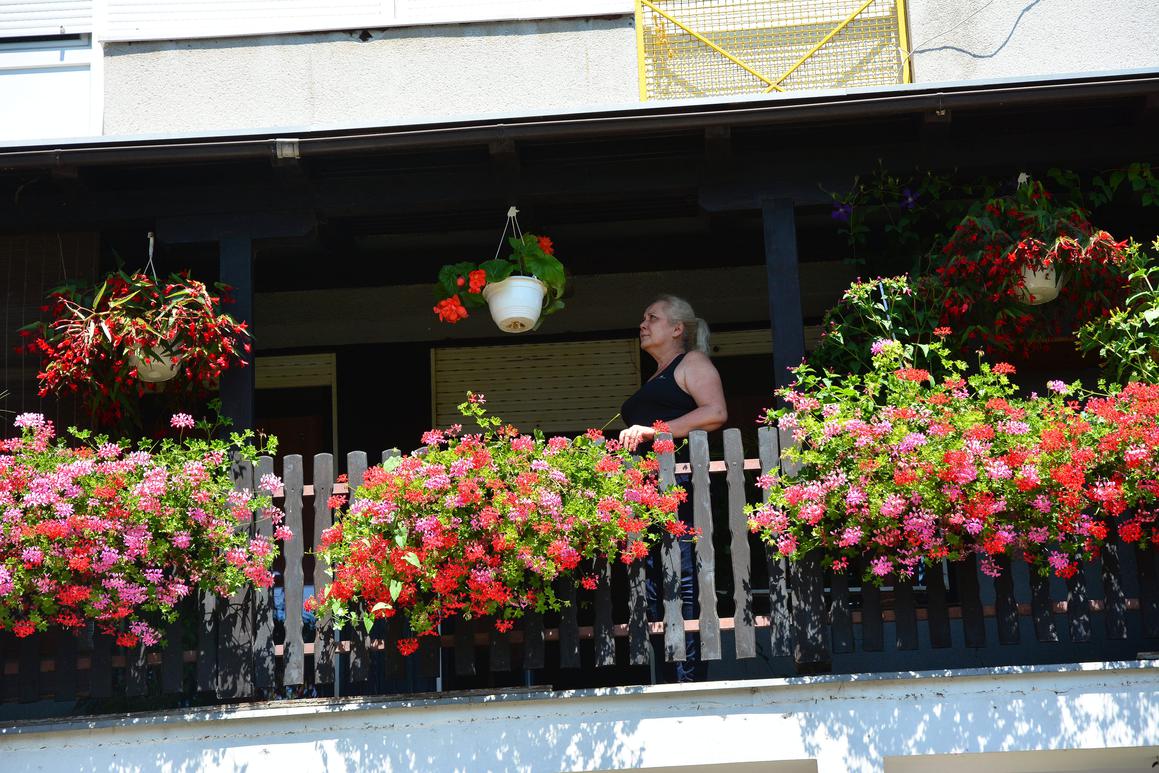 Tradicionalna akcija: najljepši balkon u gradu ima Vesna Mijić