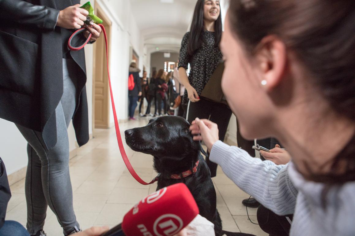 Prvi 'pat friendly' fakultet u Hrvatskoj: ulaz slobodan i životinjama