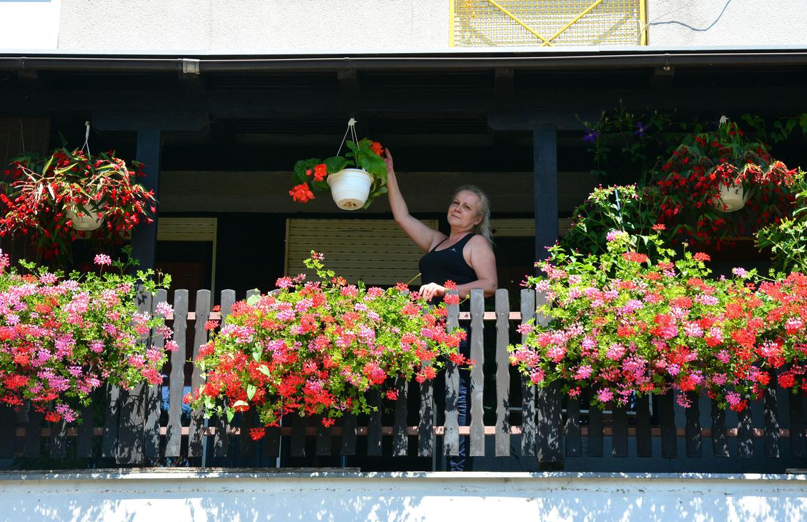 Tradicionalna akcija: najljepši balkon u gradu ima Vesna Mijić
