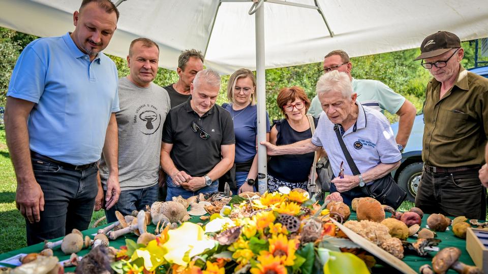 storyeditor/2025-09-28/dani_vrganja_paka_2025_3.jpg