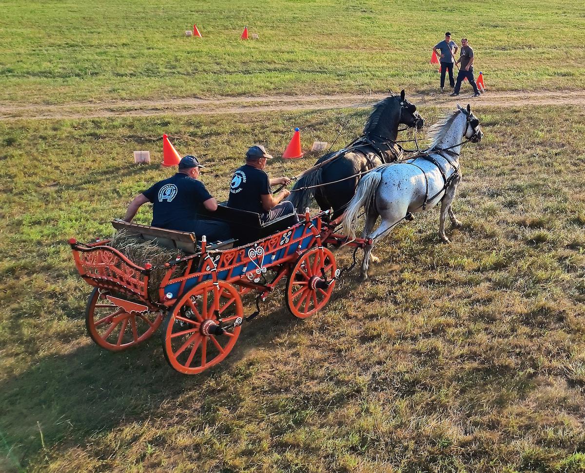 U Slavonskom Kobašu održana folklorno-sportska manifestacija "Razigrani lipicanci"