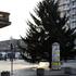 Građani donirali božićna drvca postavljena u središtu grada