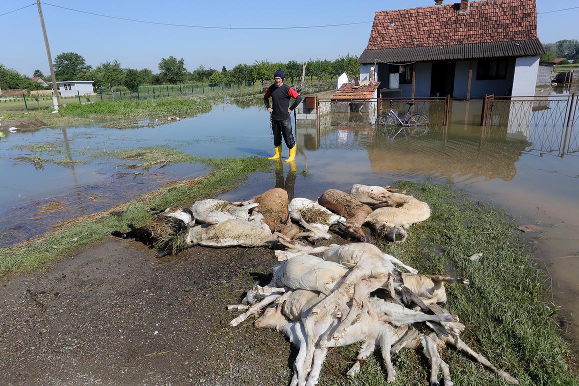 Ustavni sud odbio tužbu mještana istočne Slavonije stradalih u katastrofalnim poplavama