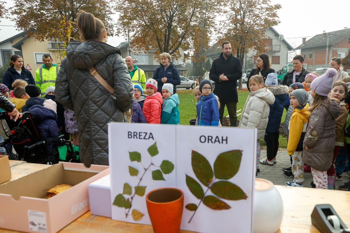 Sade 782 nova stabla, za svaki rođendan po jedno