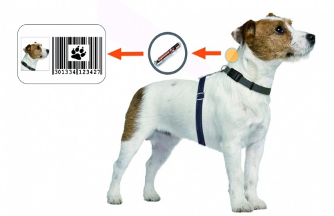 Poziv vlasnicima pasa za obvezno mikročipiranje pasa