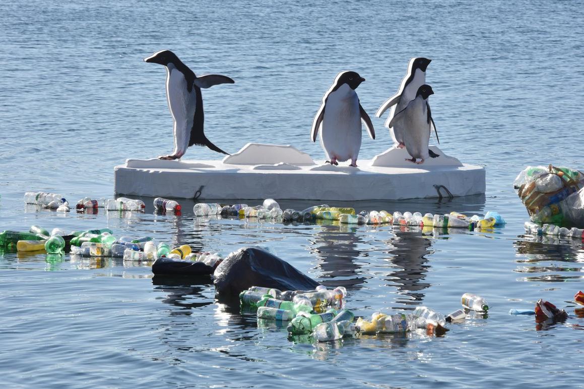 Medo i pingvini u Šibeniku upozoravaju na zatopljenje