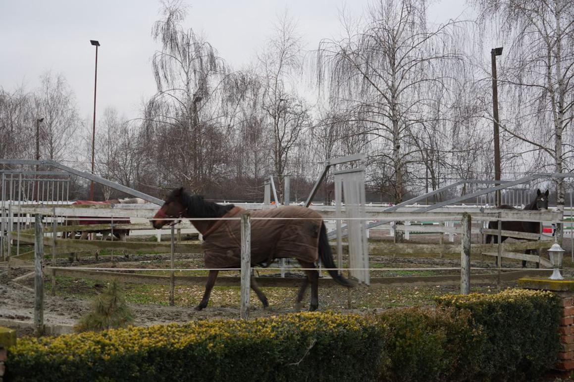 Donacijom omogućili nastavak programa terapijskog jahanja