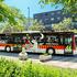 Autobusi s motivima Turopolja osvojili Ružu Zagrebačke županije
