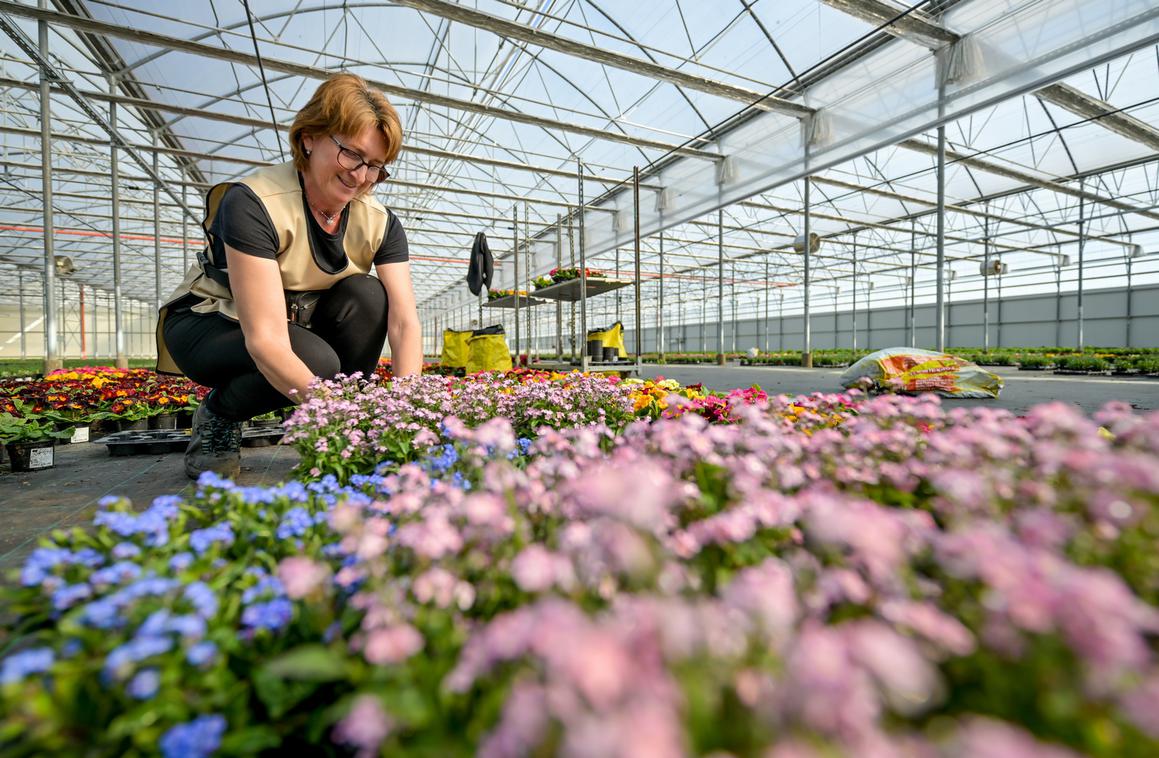 Poljoprivrednici, javite se na natječaj i modernizirajte svoje gospodarstvo