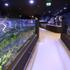 Aquatika, prvi slatkovodni akvarij s čak 40 endemskih vrsta riba, otvara svoja vrata