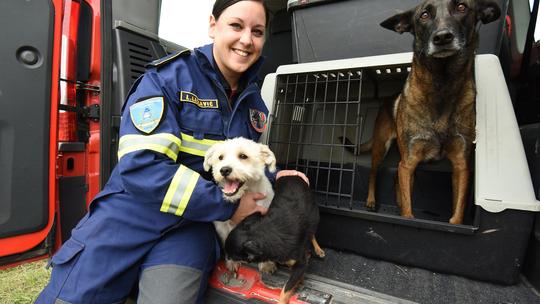 Na vojnom poligonu predstavljeni psi za spašavanje iz ruševina