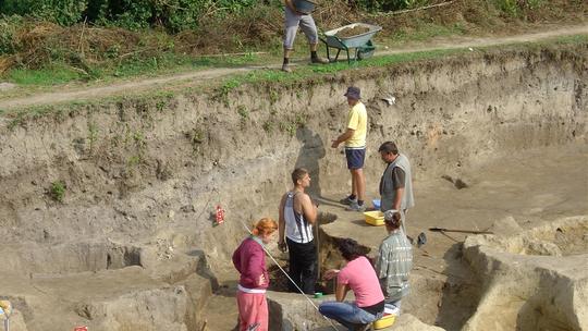 Arheološka istraživanja u Vučedolu