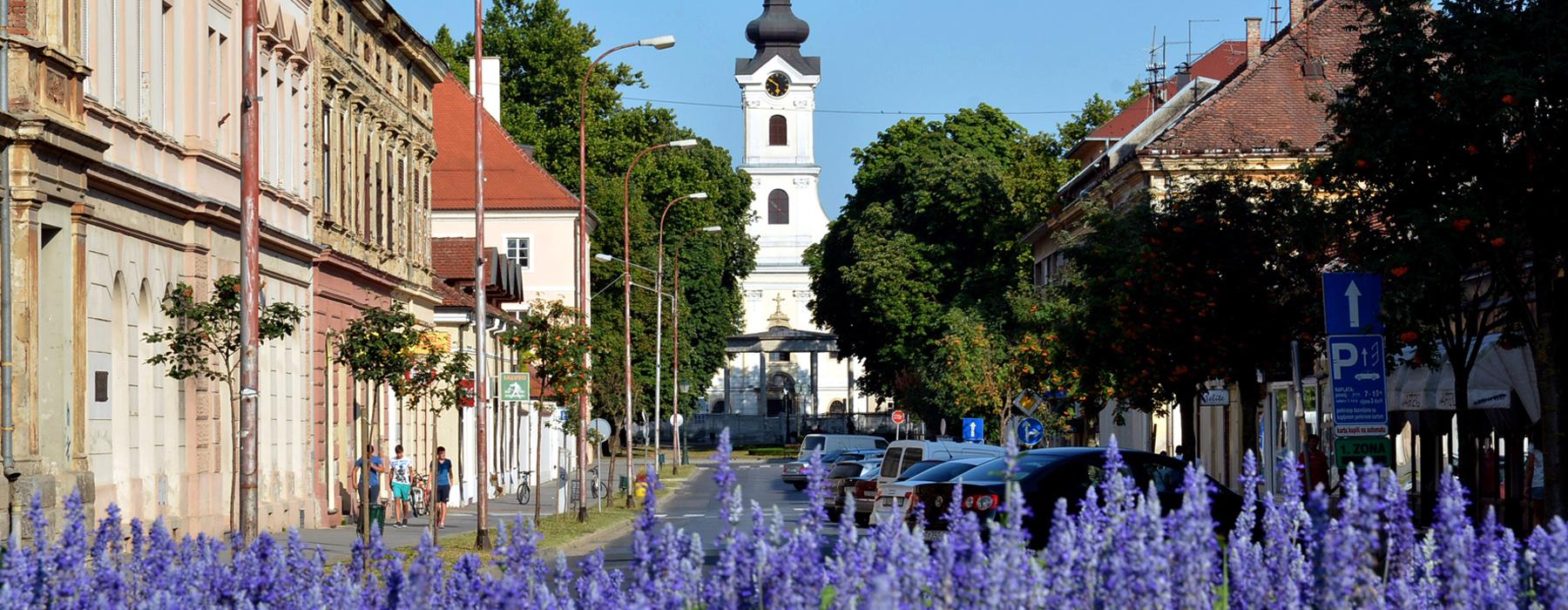 Bjelovarsko-bilogorska županija za podrubriku