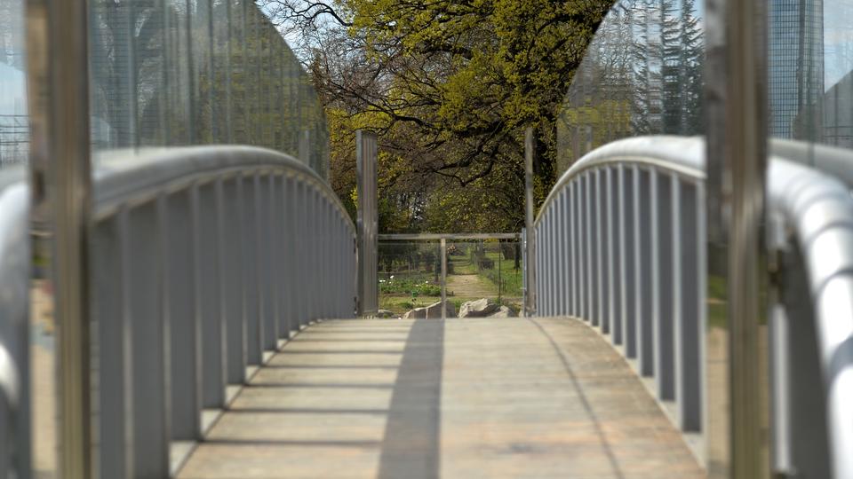 pješački most