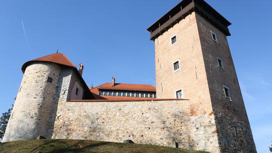 Stari grad Dubovac