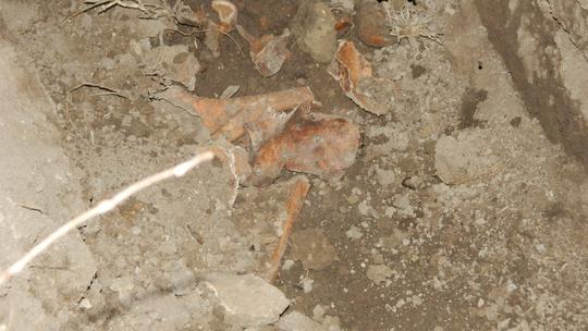 Pronađene kosti u crkvi u Lovasu