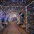 Paljenjem više od 2,5 milijuna lampica počinje 'Božićna priča' obitelji Salaj