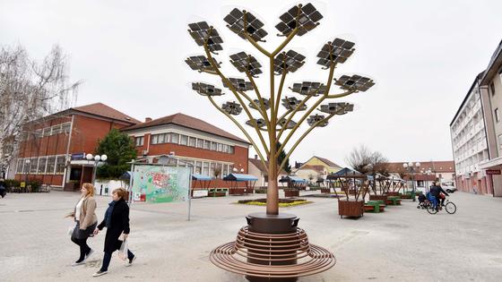 Solarno drvo u Ludbregu