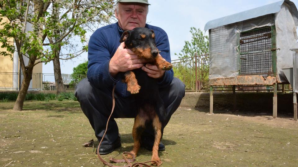 Župnik Marko Gačarić uzgaja lovačke pse