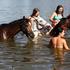 Nesvakidašnji prizor na Dravi: i konji potražili osvježenje od ljetnih vrućina