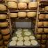 Podno Učke u mini sirani Zlata godišnje naprave 20 tona sira