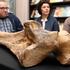 Sisački mamut prvi put pred javnošću