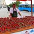 Najbolje jagode županijski proizvođači prodaju u Zagrebu
