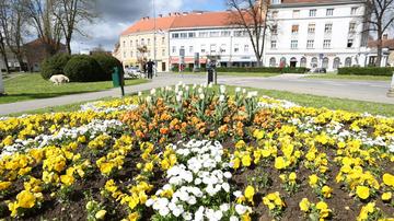 Karlovac