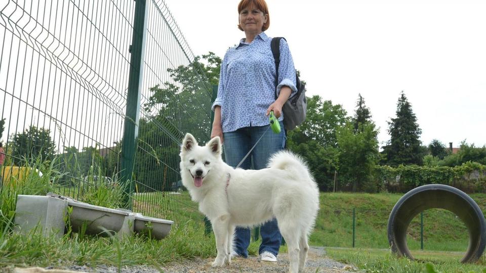 Prvi park za pse u Bjelovaru