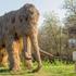Dolina mamuta mogla bi postati prava turistička atrakcija