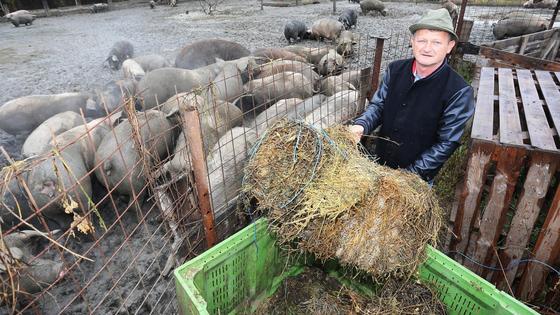 Vlado Ferbežar iz Otoka istaknuo je kako se, osim uzgajanja svinja, mora brinuti o puno drugih stvari