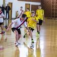 Futsal liga