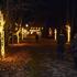U perivoju otvoren Božićni park s 300 tisuća lampica