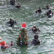 Tradicionalni doček ronilačkog Djeda Mraza u Puli