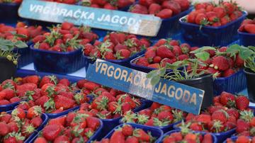 Vrgoračke jagode