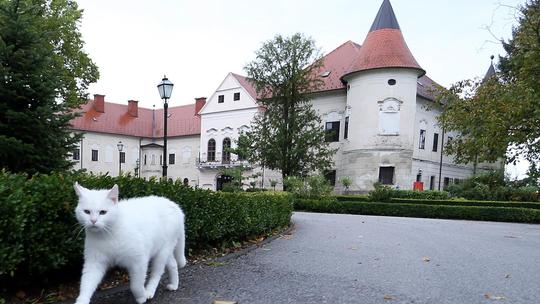 Duhovno-obrazovni centar Marijin dvor u dvorcu Lužnica