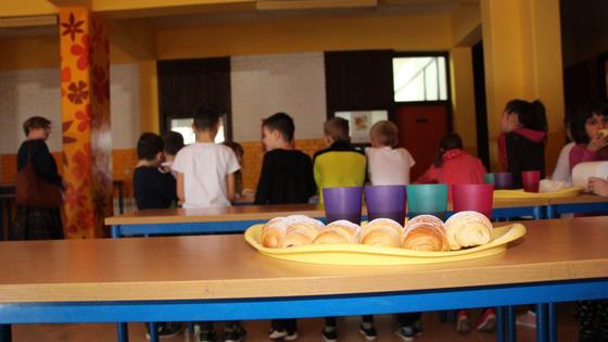 Projektom će se osigurati 196.175 obroka za 1275 korisnika projekta iz 6 OŠ s područja Vinkovaca i 7 škola s područja Vukovarske županije