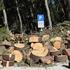 Policija će kažnjavati Splićane koji uđu u zonu sječe šume