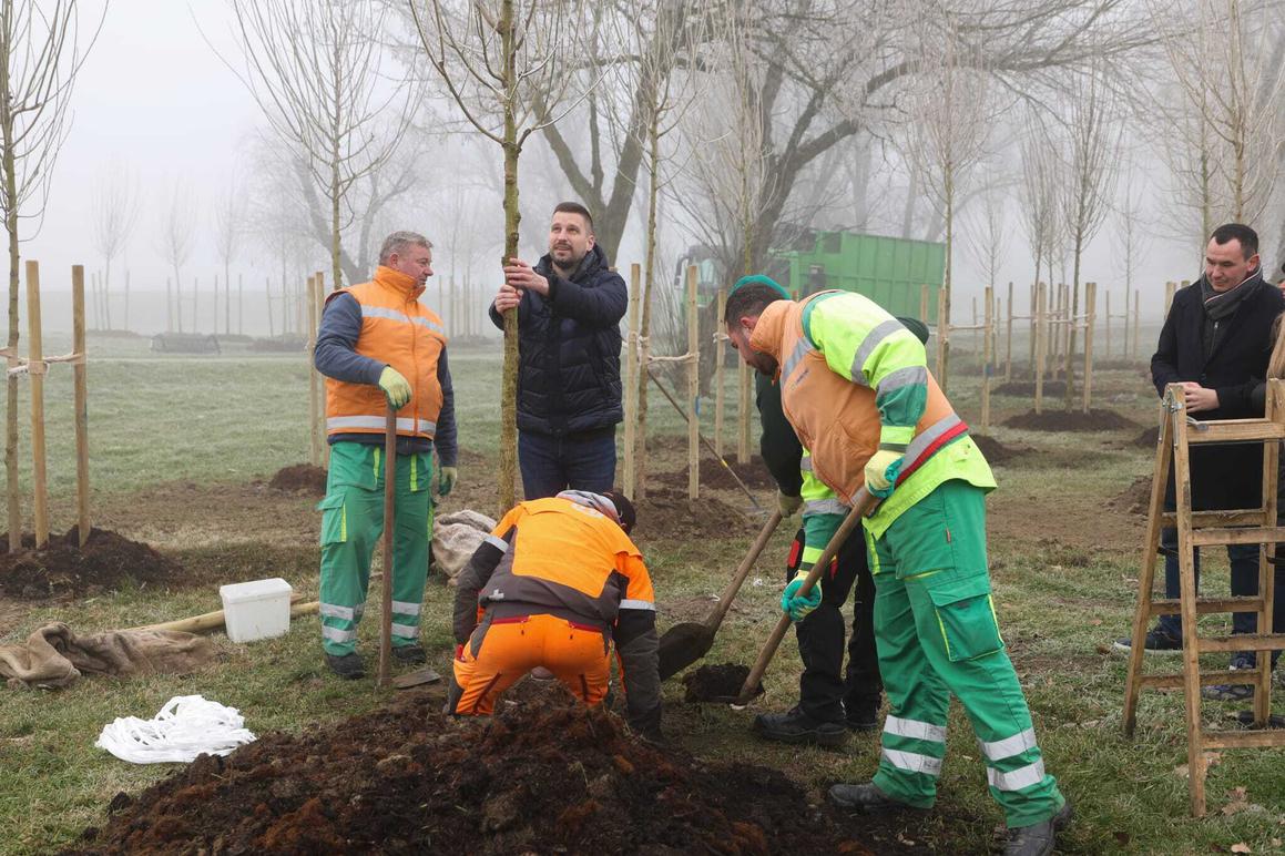 U 34 dana na 13 lokacija u gradu Osijeku zasadili ukupno 1697 stabala